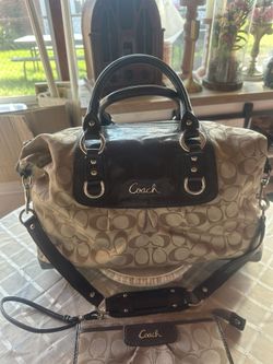 Purse With Matching Wallet 