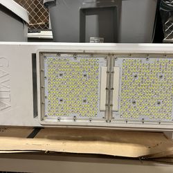 Gavita CT 1930e LED Grow Lights