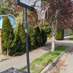 Free basketball hoop 