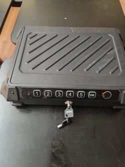 Biometric Quick Access Gun Box