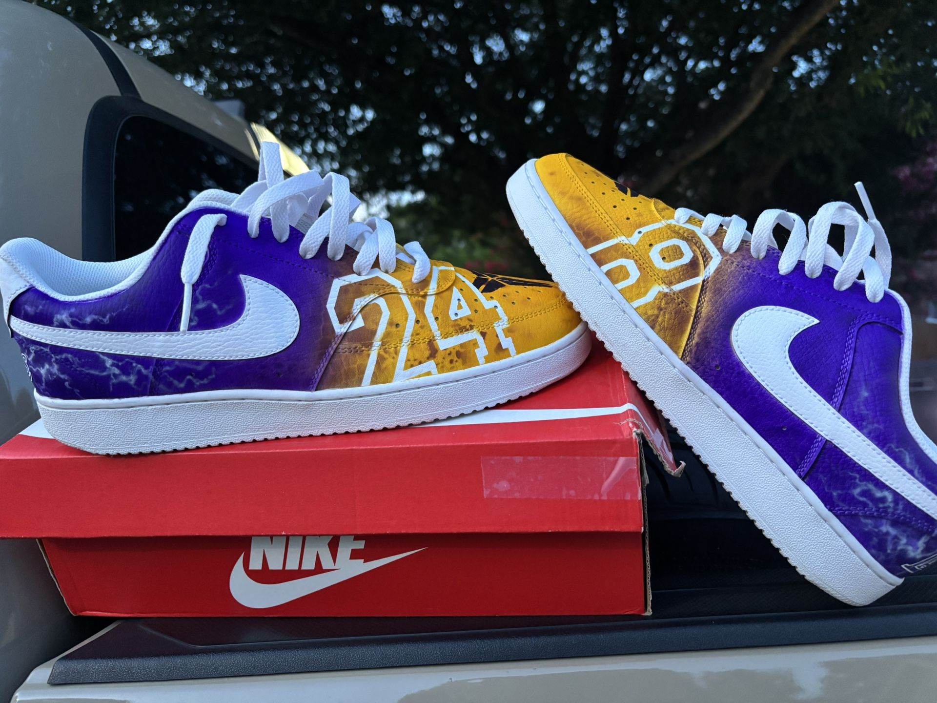 Custom Nike Court Vision Lo