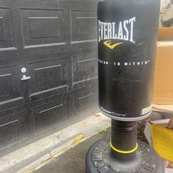 Everlast Stand Punch Bag. Boxing Gloves L/XL