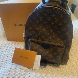 Louis Vuitton, Bags, Louis Vuitton Palm Springs Mm