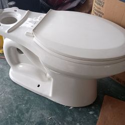 Glacier Bay Toilet Bowl