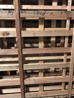 Free Dry wood for bonfires