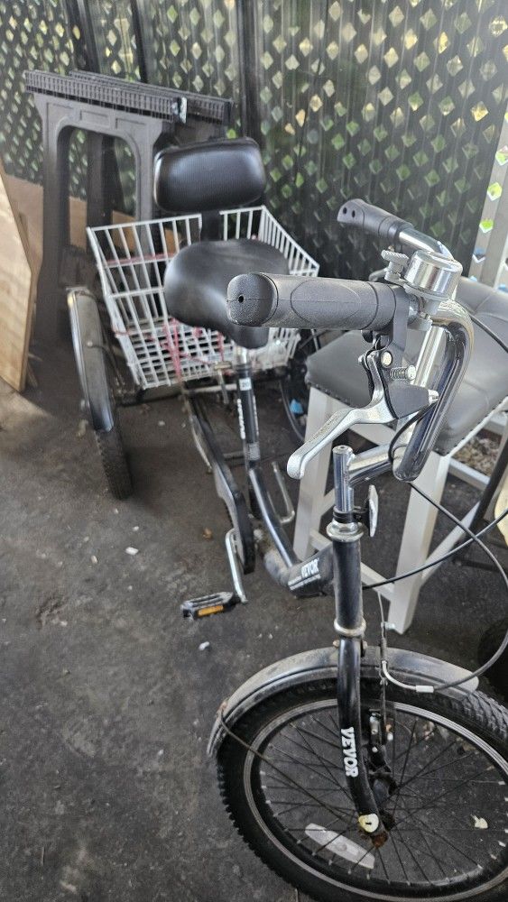 Adult Tricycle