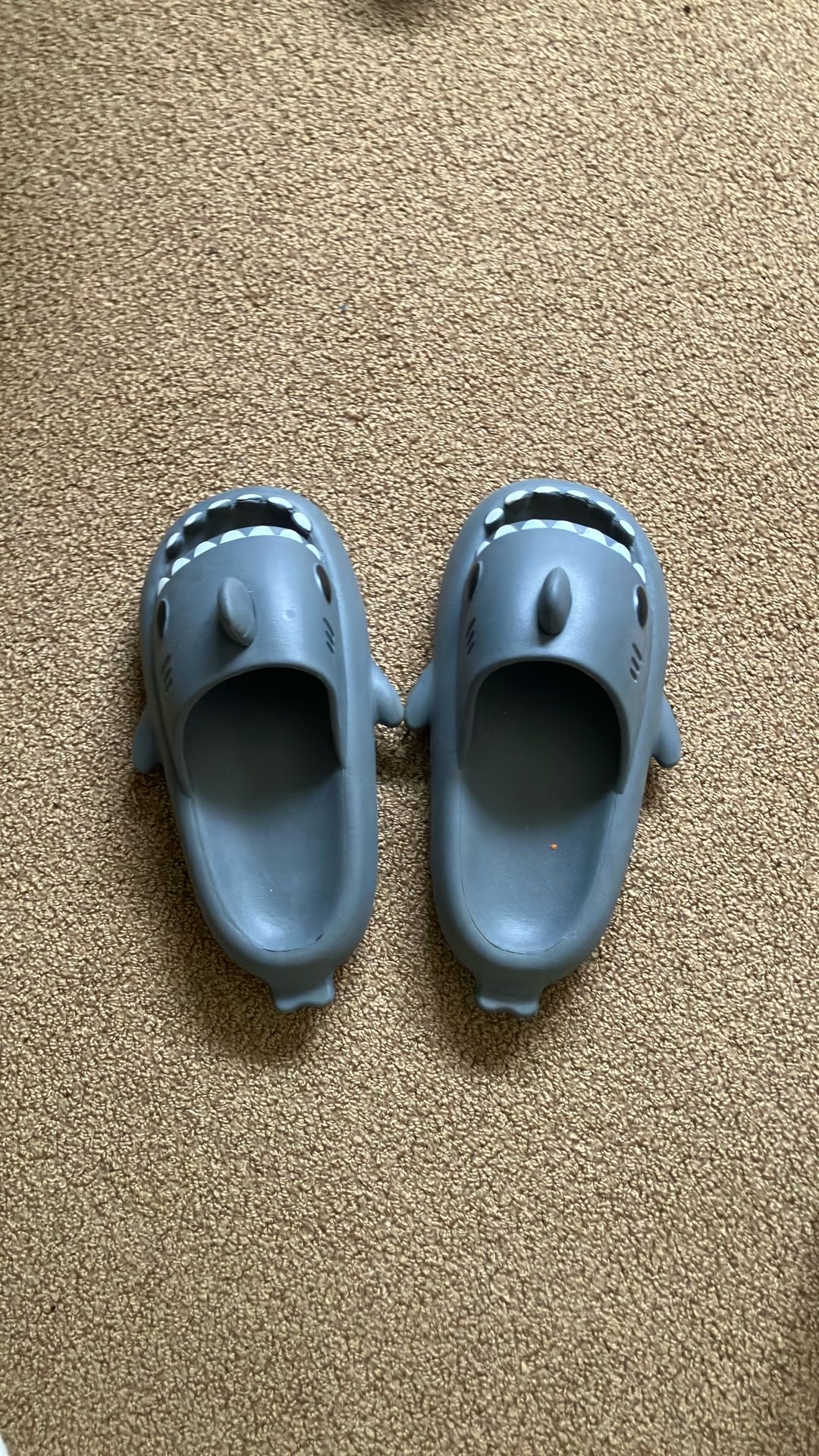 Shark Slides