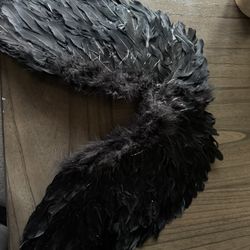 Black Wings