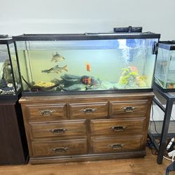 55–60 Gallon Fish Tank + Solid Wood Stand + All Decorations – $150
