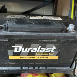 Duralast H7 Gold