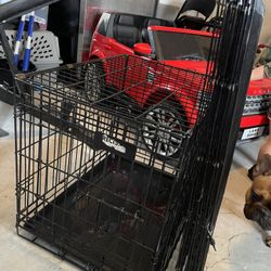 Dog Fance With Cage Médium 