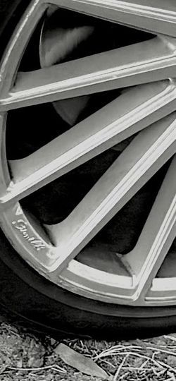 22 rims