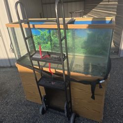 Fish Tank Or Turtle