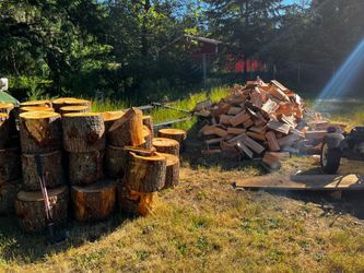 Firewood fir.   Or cedar…