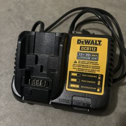 12v/20v Max chargers 