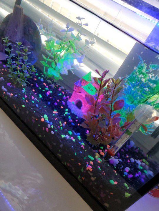 10 Gallon Fish Tank  With Glow Fish Decorations