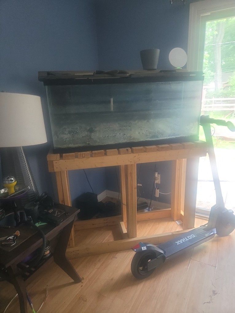 Fish Tank