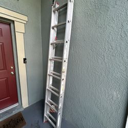 Ladder 🪜 Works Great 👍 