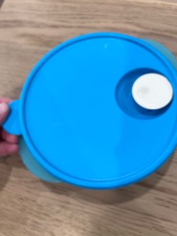 Tupperware round divided container