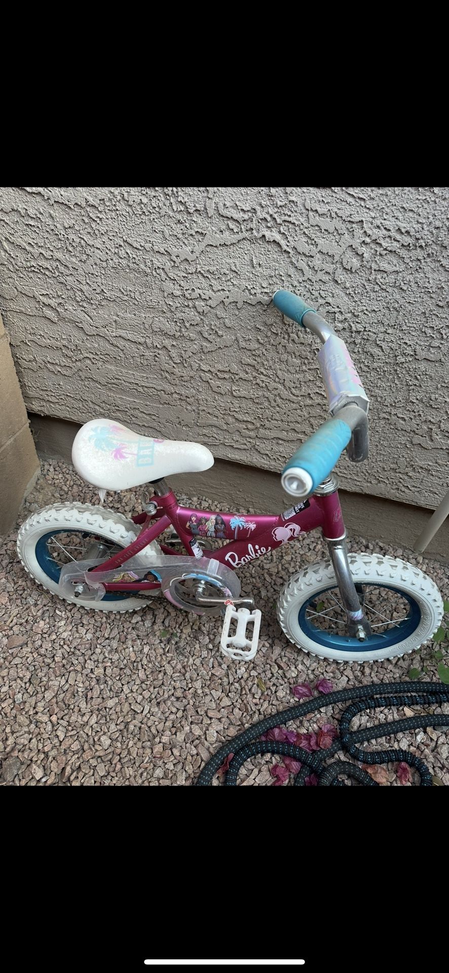 Girl Bike