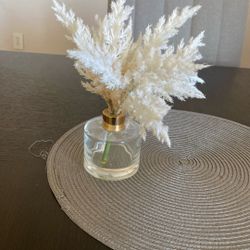Decorative Plant 