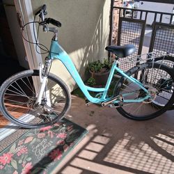 Beach Cruiser Del sol