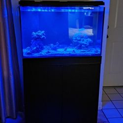 50 Gallon Saltwater Tank 