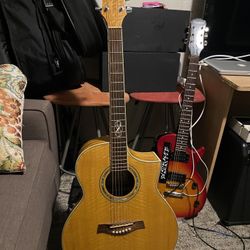 Ibanez Electro Acoustic Guitar Brand New 
