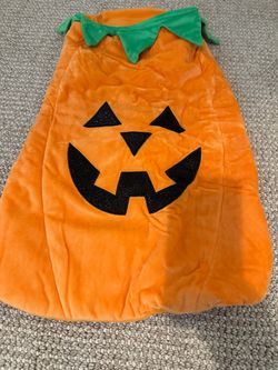 Pumpkin Dog costume