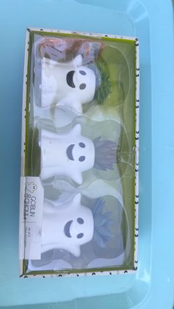 Ghost succulent