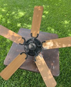 fan