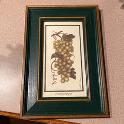 Chardonnay Grapes Picture