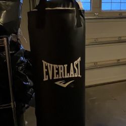 Punching Heavy Bag 70 lbs Everlast Black in EC