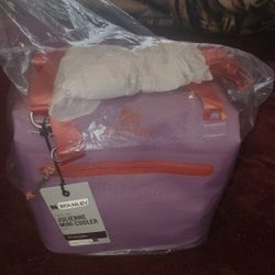 New Stanley Mini Cooler