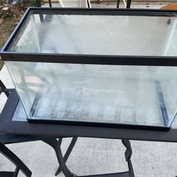 10 Gallon Aquarium Tank