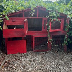 Free Chicken Coup