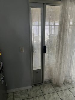 Doggy Glass Door 