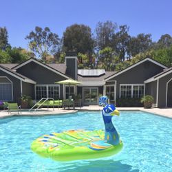 AVAILABLE Peacock Island  Pool Float