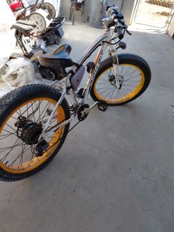 Fat tire Rich Bit E bike