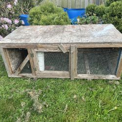 Rabbit, Quail, Cage 