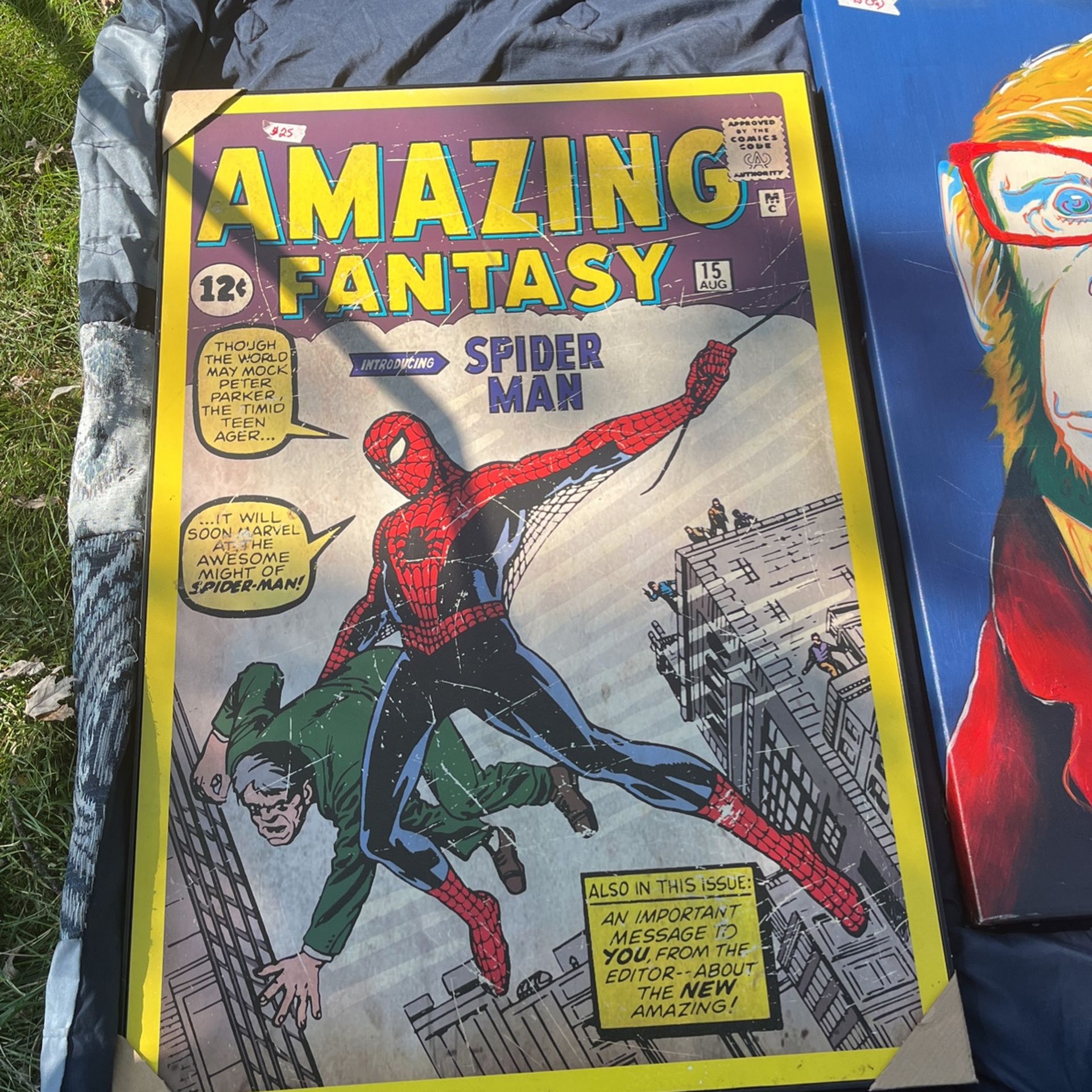 Amazing Spider-man Poster Feamed