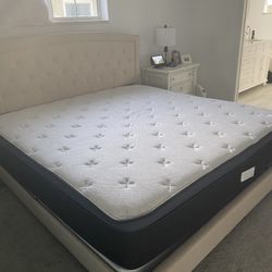 Helix Luxe Midnight Like New 70 % Off Retail 