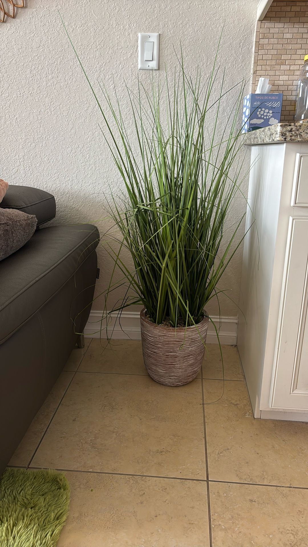 Fake Plant 