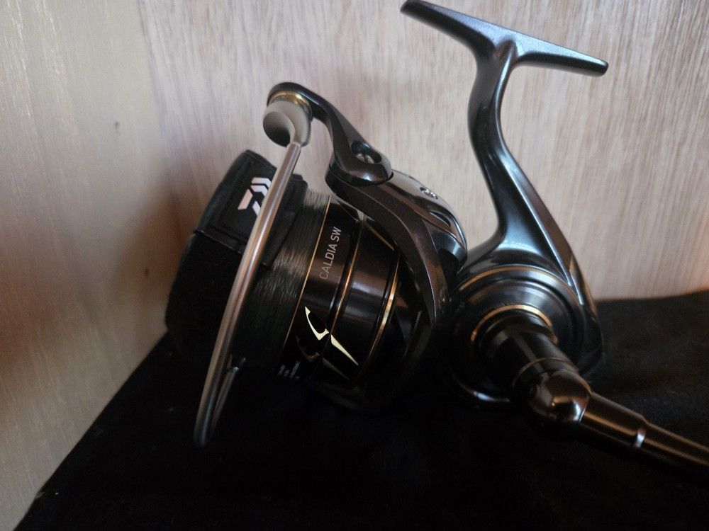Daiwa Caldia Sw 14000 - H Fishing Reel