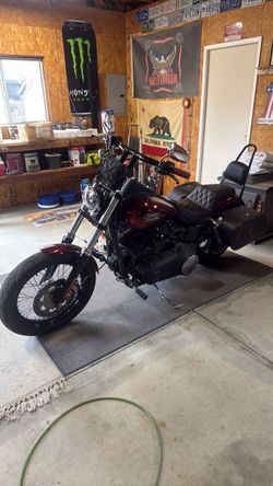 2013 Harley Davison street bob