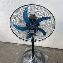 Fan 