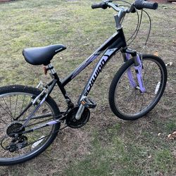 Schwinn Mountain Bike 24 Inch 