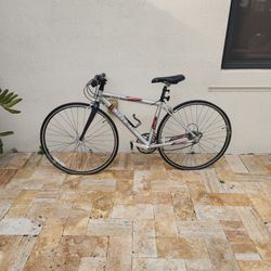 Trek Bike