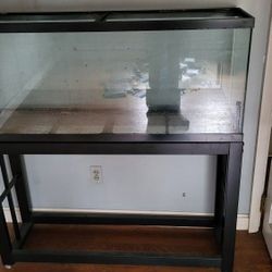 55 gallon fishtank with stand and accessories