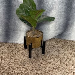 fake Plant 